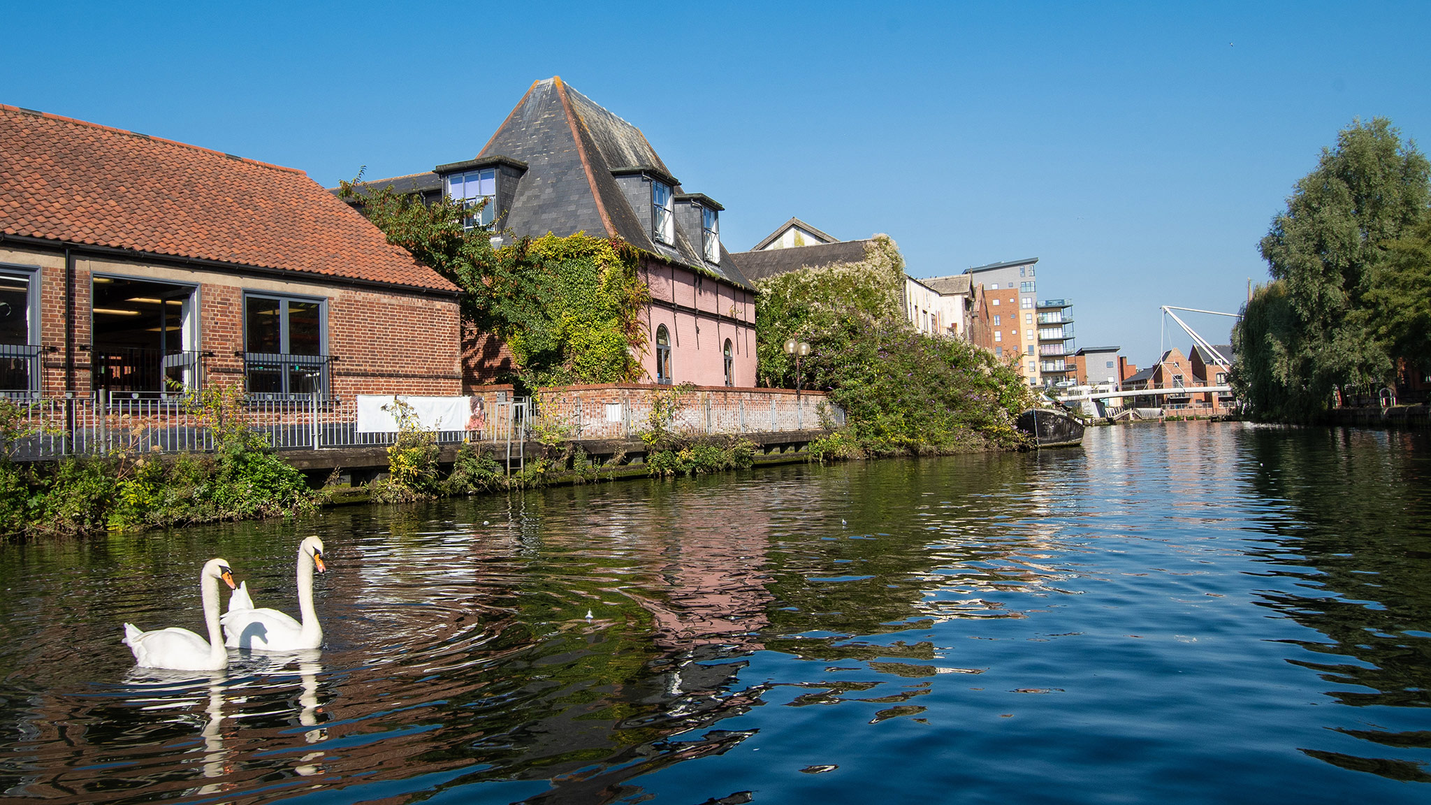 Norwich